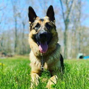 Meet your Posher, Olivia